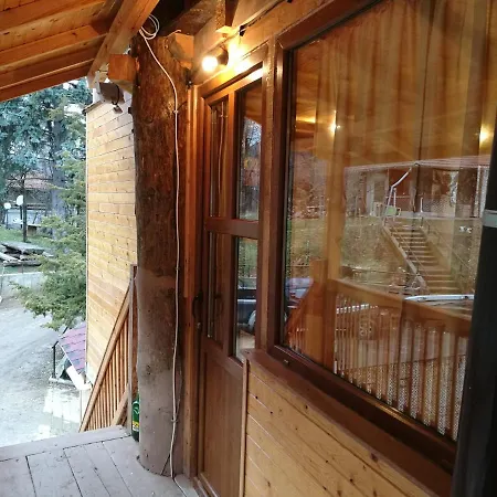 Tree House Владая