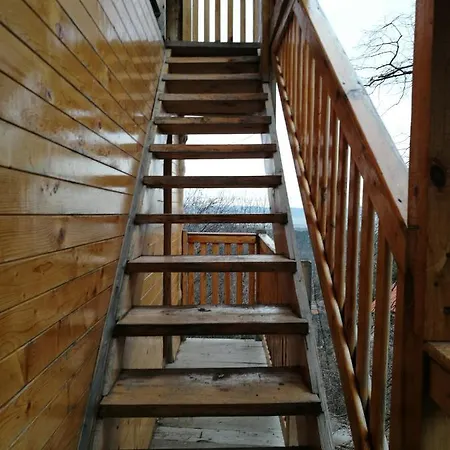 Tree House Владая