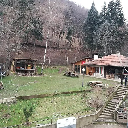 Tree House Владая