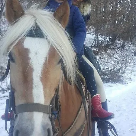 Tree House Мини-отель *