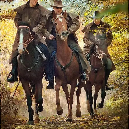 イン Tree House Vladaya