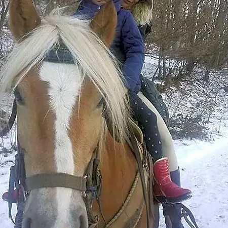 Хан къща на дърво *