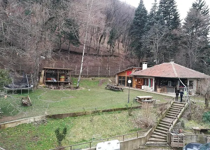 къща на дърво Владая