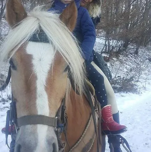 къща на дърво Хан *