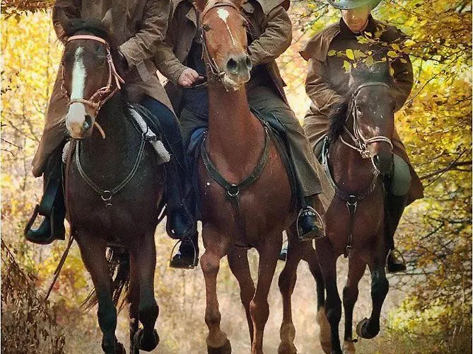 Хан къща на дърво Владая