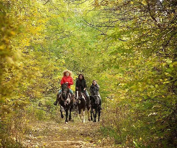 къща на дърво Владая