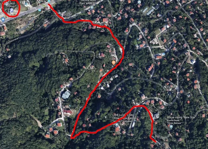 къща на дърво Хан *